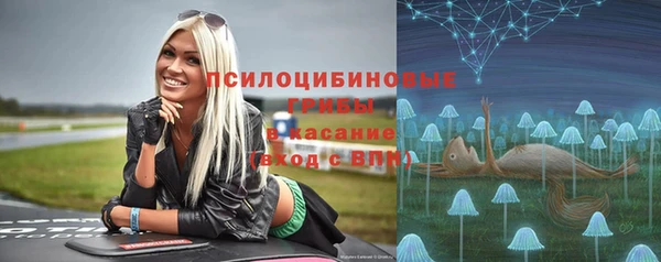 гидра Майский