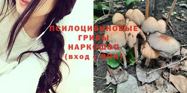 ГАЛЛЮЦИНОГЕННЫЕ ГРИБЫ Мегион