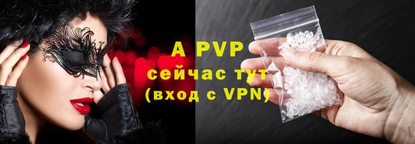 индика Магадан