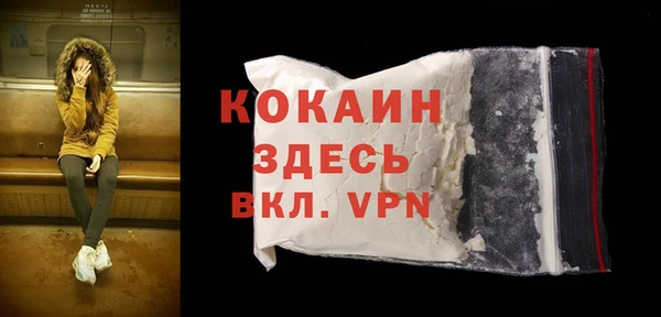 гидра Медвежьегорск