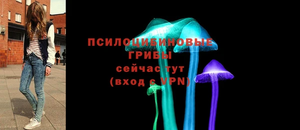 соль ск Медногорск