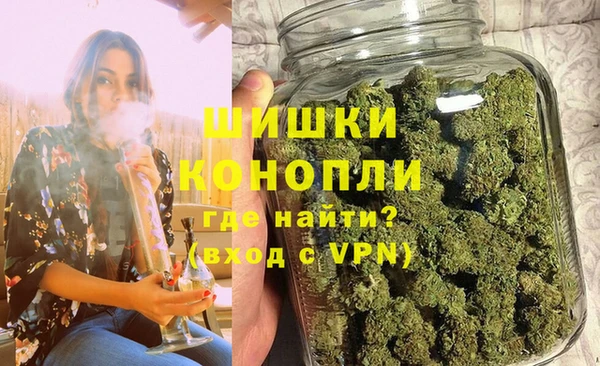 индика Магадан