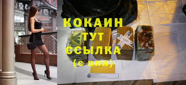 гидра Медвежьегорск