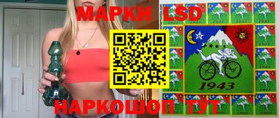 стафф Гатчина