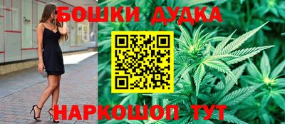 стафф Гатчина