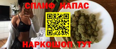 стафф Гатчина