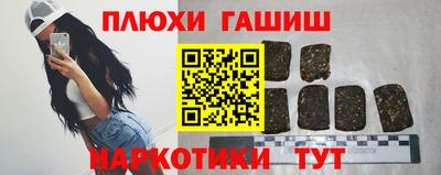 стафф Гатчина
