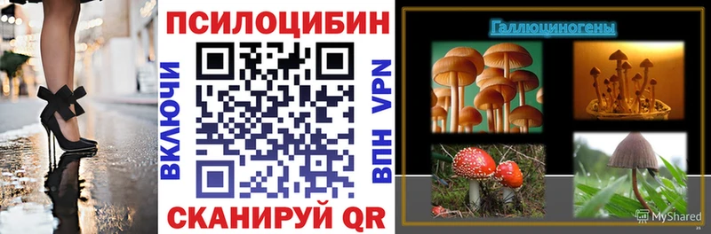 Псилоцибиновые грибы Psilocybe  где продают   Кызыл 
