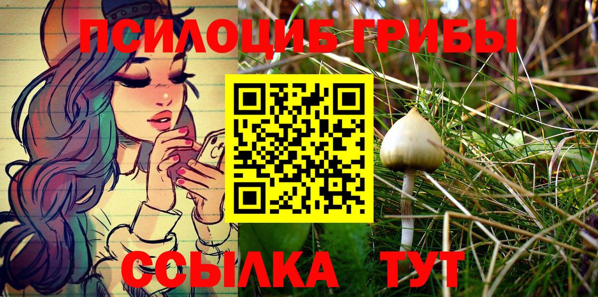 Кызыл  Псилоцибиновые грибы MAGIC MUSHROOMS  купить  цена  Вход с VPN  Галлюциногенные грибы GOLDEN TEACHER 